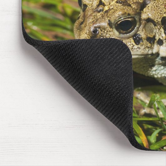 Canada 2 mousepad (Ecke)