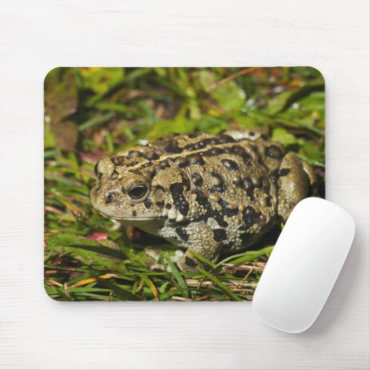 Canada 2 mousepad (Mit Mouse)