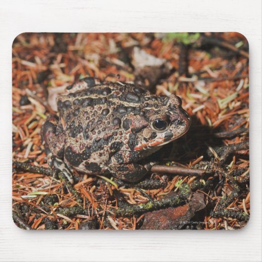 Canada 3 mousepad (Vorne)