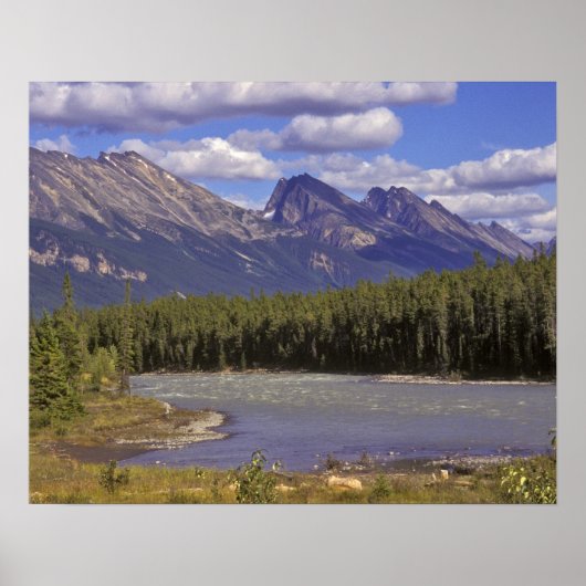 Canada, Alberta, Jasper National Park. Large Poster (Vorne)