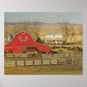 Canada, Alberta, Pincher Creek: Red Barn & Ranch Poster