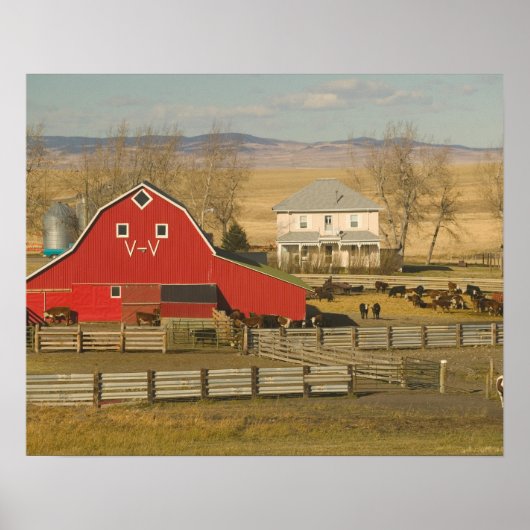 Canada, Alberta, Pincher Creek: Red Barn & Ranch Poster (Vorne)