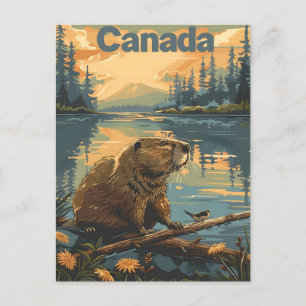 Canada Beaver Postkarte