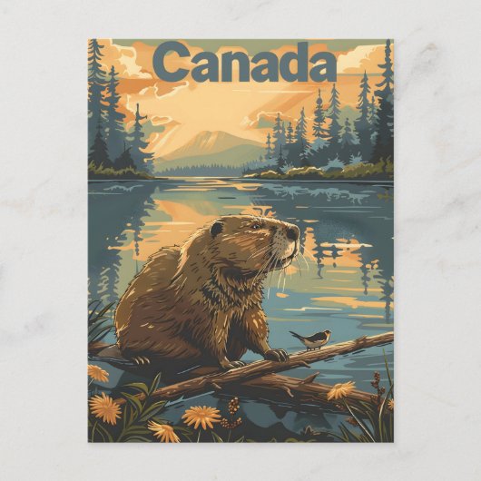 Canada Beaver Postkarte (Vorderseite)