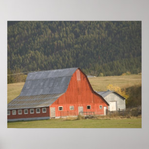 CANADA, British Columbia, Enderby. Roter Stall / Poster