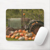 CANADA, British Columbia, Keremeos. Herbst / 2 Mousepad (Mit Mouse)