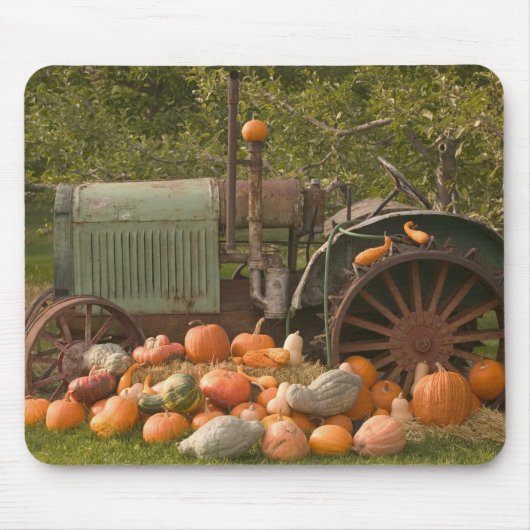 CANADA, British Columbia, Keremeos. Herbst / 2 Mousepad (Vorne)