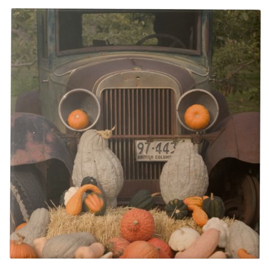 CANADA, British Columbia, Keremeos. Herbst / Fliese (Vorderseite)