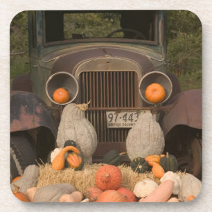 CANADA, British Columbia, Keremeos. Herbst / Untersetzer