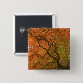 CANADA, British Columbia, Victoria. Herbst 2 Button (Vorne & Hinten)