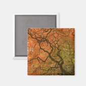 CANADA, British Columbia, Victoria. Herbst 2 Magnet (Vorderseite/Rückseite)