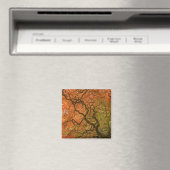 CANADA, British Columbia, Victoria. Herbst 2 Magnet (In Situ (Geschirrspüler))