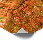 CANADA, British Columbia, Victoria. Herbst 2 Poster (Ecke)