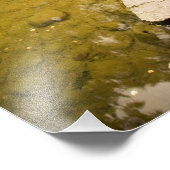 CANADA, British Columbia, Victoria. Herbst Fotodruck (Ecke)