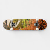 CANADA, British Columbia, Victoria.Herbst Skateboard (Horizontal)