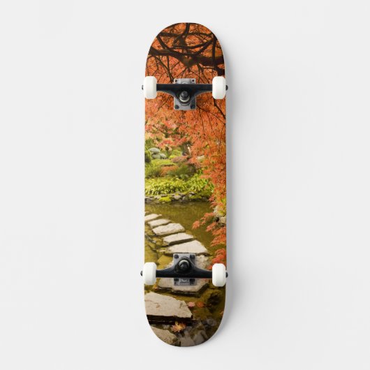 CANADA, British Columbia, Victoria.Herbst Skateboard (Vorderseite)