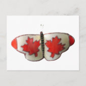 Canada Butterfly Postkarte (Vorderseite)