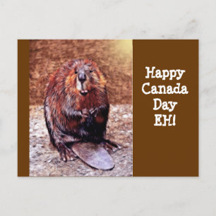 Canada Day Beaver Postkarte