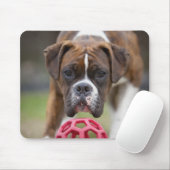 Canada edmonton alberta mousepad (Mit Mouse)