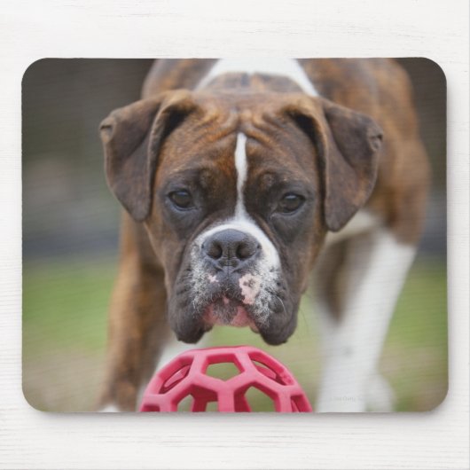 Canada edmonton alberta mousepad (Vorne)
