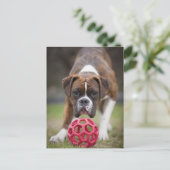 Canada edmonton alberta postkarte (Stehend Vorderseite)