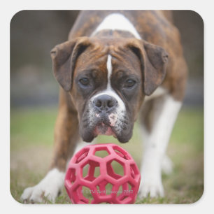 Canada edmonton alberta quadratischer aufkleber