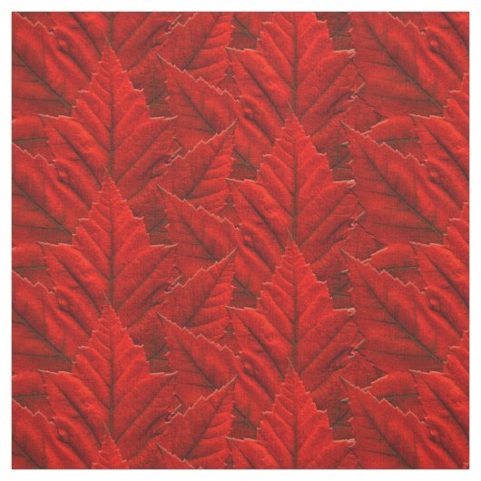 Canada Fabric Canada Maple Leaf Fabric Flag Fabric Stoff (Muster)