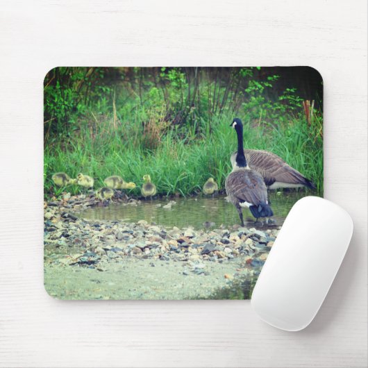 Canada Gans Family Babies Nature Mousepad (Mit Mouse)