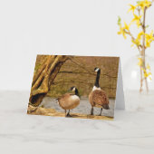 Canada Gänse002 Karte (Gelbe Blume)