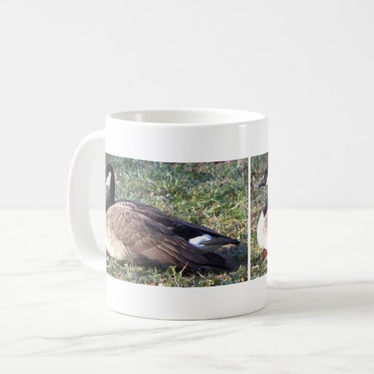 Canada Gänse Foto Tasse (Vorderseite Links)