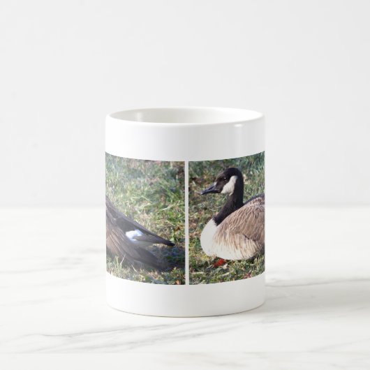 Canada Gänse Foto Tasse (Mittel)