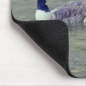 Canada Gänse Mama Babies Nature Mousepad (Ecke)