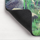 Canada Gänse Mama Babies Nature Mousepad (Ecke)