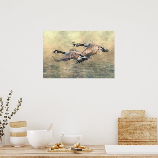 Canada Gänse Poster (Küche)