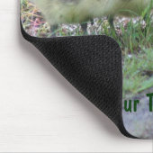 Canada Geese Babies Nature Foto Mousepad (Ecke)