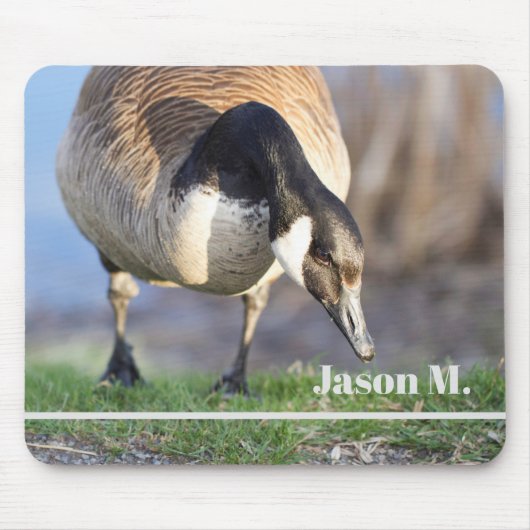 Canada Goos Mousepad (Vorne)