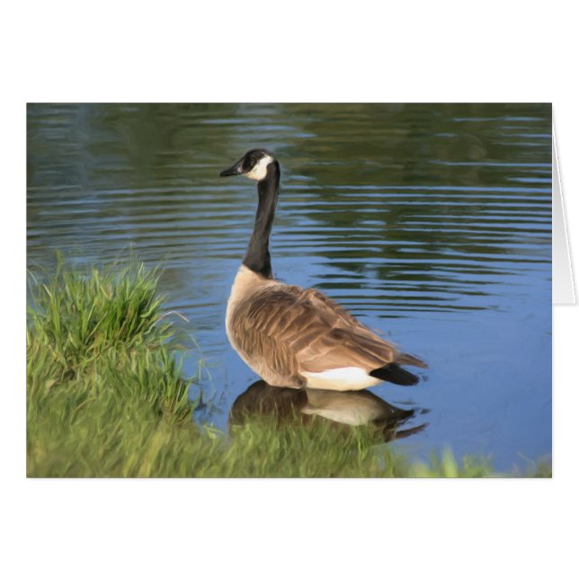Canada Goose Animal Art Card (Vorderseite (Horizontal))