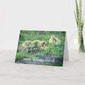 Canada Goose Babies Nature Birthday Card Karte (Vorderseite)