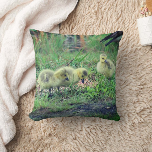 Canada Goose Babies Wildlife Kissen (Decke)