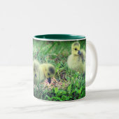 Canada Goose Babys Wildlife Personalisiert Zweifarbige Tasse (VorderseiteRechts)