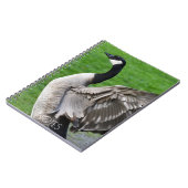 Canada Goose Flapping Wings Foto Notizblock (Linke Seite)