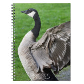 Canada Goose Flapping Wings Foto Notizblock (Vorderseite)