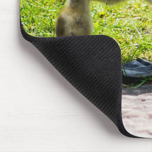 Canada Goose Gosling Mousepad (Ecke)