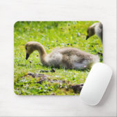 Canada Goose Gosling Mousepad (Mit Mouse)