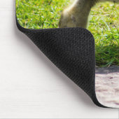 Canada Goose Gosling Mousepad (Ecke)