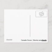 Canada Goose Gosling Postkarte (Rückseite)
