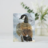 Canada Goose Grunge Postkarte (Stehend Vorderseite)