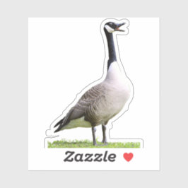 Canada Goose Honking Aufkleber