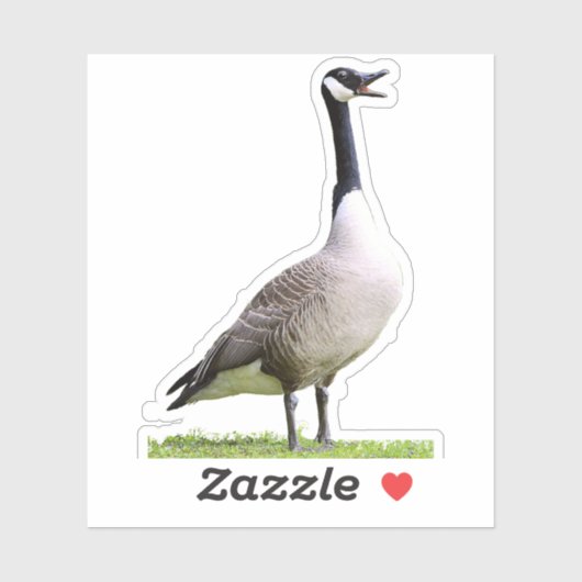 Canada Goose Honking Aufkleber (Blatt)