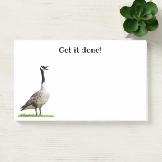 Canada Goose Honking Notes Post-it Klebezettel (Büro)